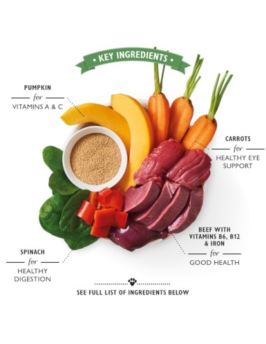 LILY`S LILY´S BEEF GOULASH TIN PARA PERROS - 400 GR 6 X 400 GR 1 X 400 GR - 3