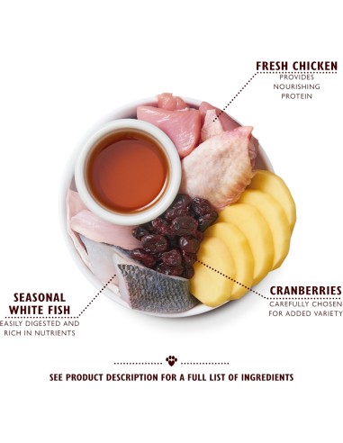 LILY`S LILY´S CHICKEN & WHITE FISH KITTEN DRY FOOD PARA GATITOS - 800 GR 800 GR - 4