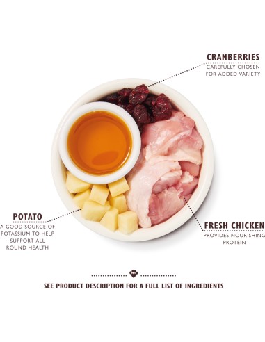 LILY`S LILY´S CHICKEN CASSEROLE DRY FOOD PARA GATOS - 2 KG 2 KG - 4