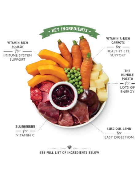 LILY`S LILY´S LAMB HOTPOT TIN PARA PERROS - 400 GR 6 X 400 GR 1 X 400 GR - 4