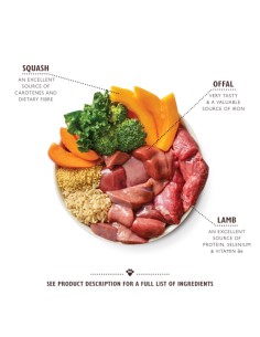 LILY`S LILY´S LAMB TAGINE TIN PARA PERROS - 400 GR 6 X 400 GR 1 X 400 GR - 2 2