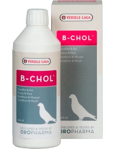 VERSELE LAGA OROPHARMA B-CHOL - 250 GR 250 GR - 2