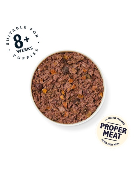 LILY`S LILY´S PUPPY RECIPE TURKEY, DUCK & KALE TIN PARA CACHORROS - 400 GR 6 X 400 GR 1 X 400 GR - 3