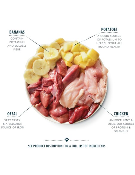 LILY`S LILY´S RECOVERY RECIPE TIN PARA PERROS - 400 GR 6 X 400 GR 1 X 400 GR - 4