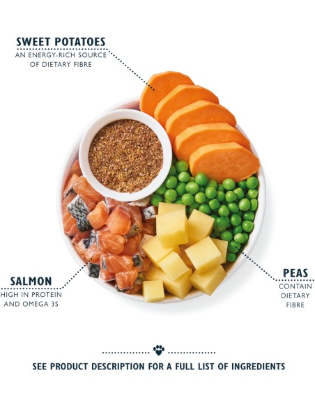 LILY`S LILY´S SALMON SUPPER DRY FOOD PARA PERROS - 7 KG 7 KG - 3