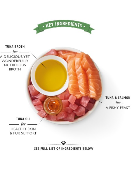 LILY`S LILY´S SHREDDED FILLETS TINS MULTIPACK PARA GATOS (8 UNIDADES) - 8 X 70 GR 8 X 70 GR - 6