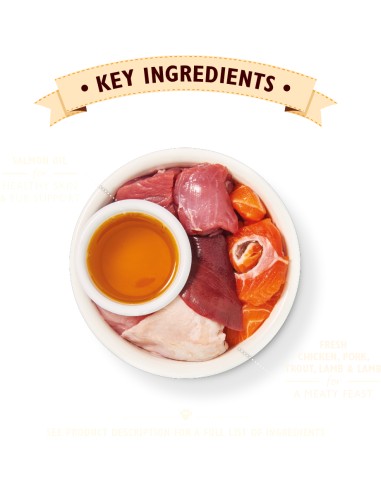 LILY`S LILY´S SMOOTH PATÉ FOR MATURE CATS PARA GATOS (19 UNIDADES) - 19 X 85 GR 19 X 85 GR - 3