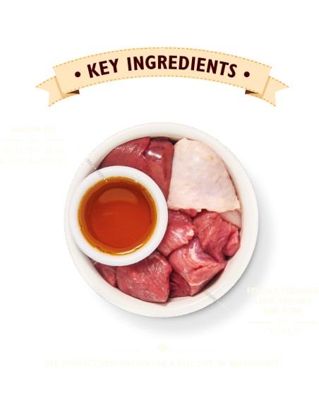 LILY`S LILY´S SMOOTH PATÉ LAMB PARA GATOS (19 UNIDADES) - 19 X 85 GR 19 X 85 GR - 3