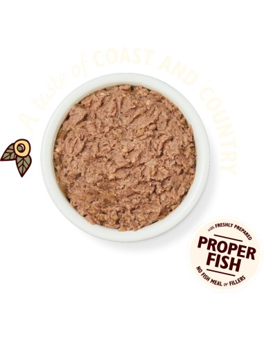 LILY`S LILY´S SMOOTH PATÉ SALMON & CHICKEN & PRAWNS PARA GATOS (19 UNIDADES) - 19 X 85 GR 19 X 85 GR - 4