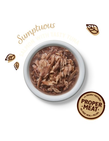 LILY`S LILY´S TUNA & SALMON SHREDDED FILLETS PARA GATOS (24 UNIDADES) - 24 X 70 GR 24 X 70 GR - 3