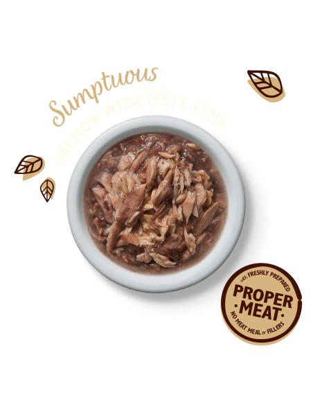 LILY`S LILY´S TUNA & SALMON SHREDDED FILLETS PARA GATOS (24 UNIDADES) - 24 X 70 GR 24 X 70 GR - 3