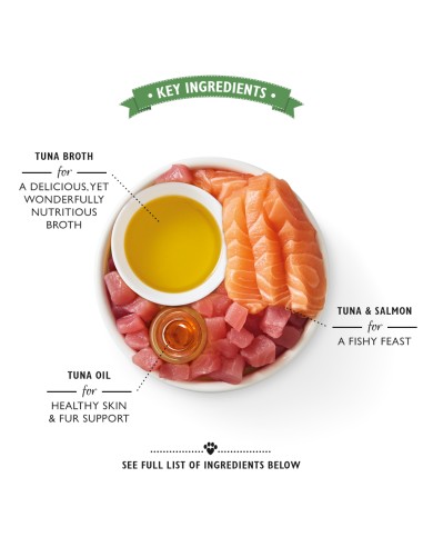 LILY`S LILY´S TUNA & SALMON SHREDDED FILLETS PARA GATOS (24 UNIDADES) - 24 X 70 GR 24 X 70 GR - 4