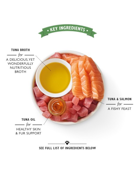 LILY`S LILY´S TUNA & SALMON SHREDDED FILLETS PARA GATOS (24 UNIDADES) - 24 X 70 GR 24 X 70 GR - 4