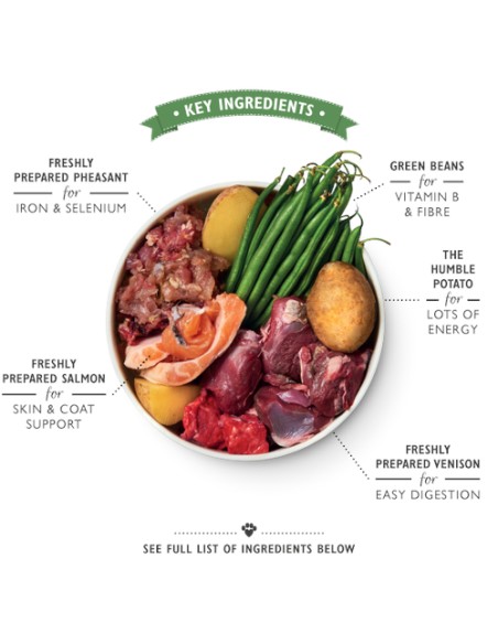 LILY`S LILY´S WILD CAMPFIRE STEW TIN PARA PERROS - 400 GR 6 X 400 GR 1 X 400 GR - 4