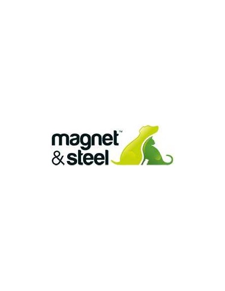 MAGNET STEEL