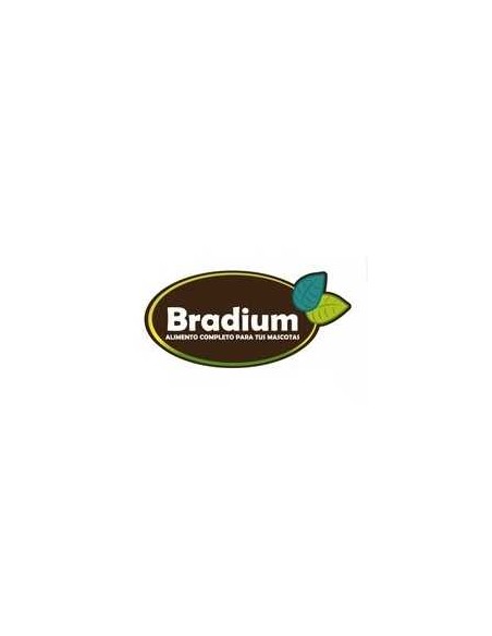 BRADIUM