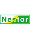 NESTOR