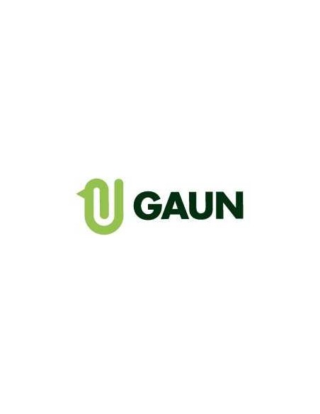 GAUN